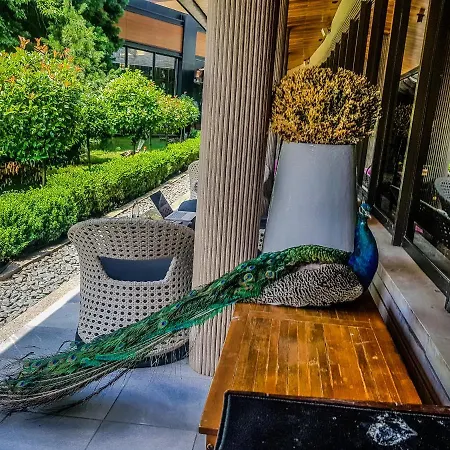 مارينيلا صوفيا