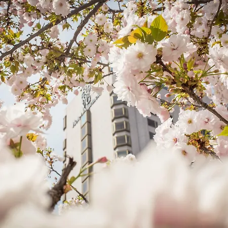 玛立纳拉索非亚酒店 5* 索菲亞