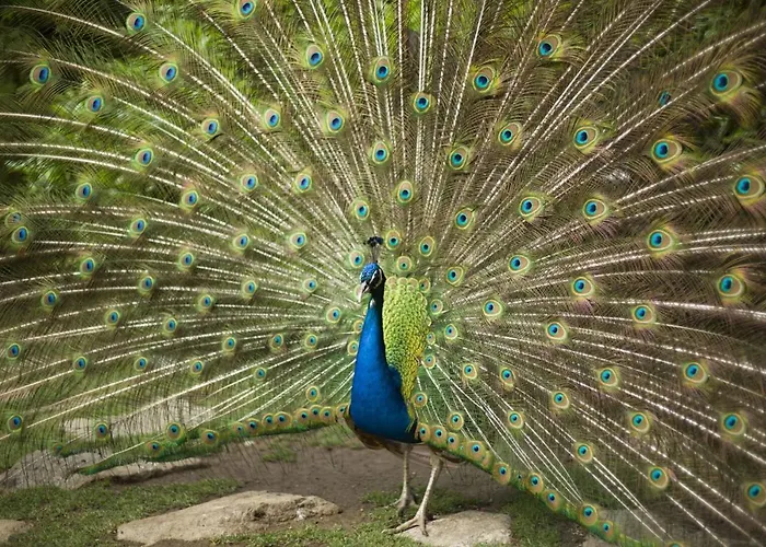 Marinela Hotel Sofía